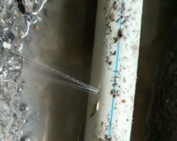 贞丰卫生间测漏水多少钱