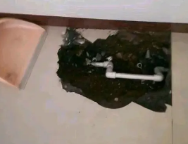 贞丰卫生间测漏水多少钱